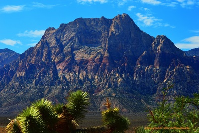 Red Rock Canyon Nevada Is A Must See 