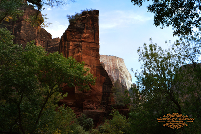The Sentinel From Emerald Pools Trail - Zion